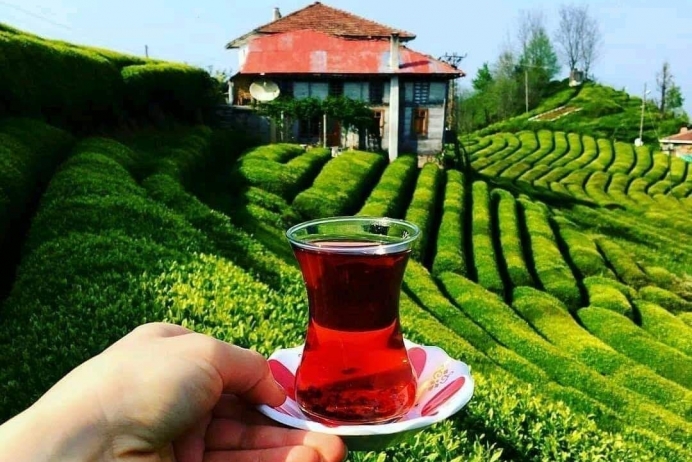 Gücünü yeşil enerjiden alıyor