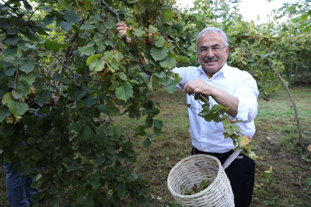 Nutelle’yı üreten Ferrero’ya fındık uyarısı geldi