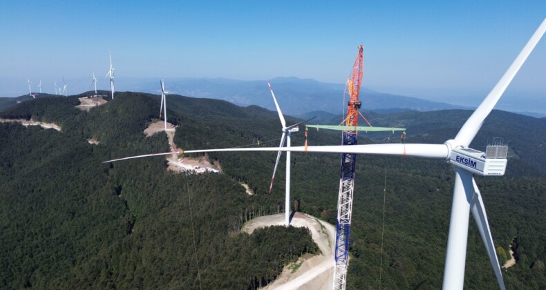 Eksim Enerji’den Çevre Dostu Yatırımlar ve Yaban Hayatı Koruma