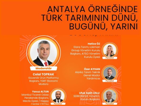 WhatsApp Image 2025-11-17 at 16.42.45