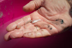 006_2026_12_Ocak_15_Ocak_06_20260127_2_72682111_121611764