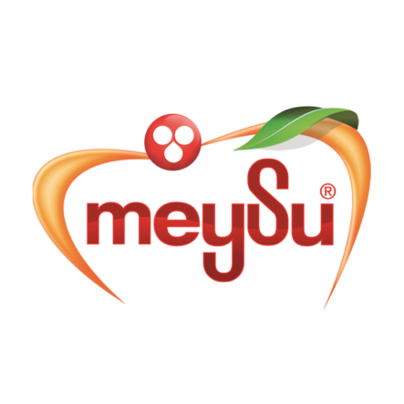 1767167057_MEYSU_LOGO_20251230_230521_0000