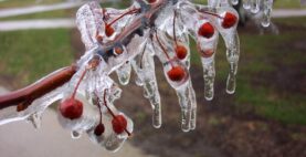 1772084468_Don_Koruma_Sprink_G__rsel_1