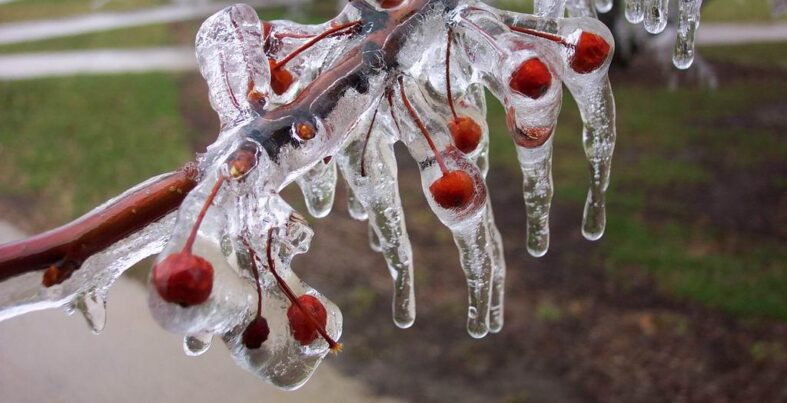 1772084468_Don_Koruma_Sprink_G__rsel_1