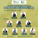 WhatsApp Image 2026-02-06 at 12.28.32