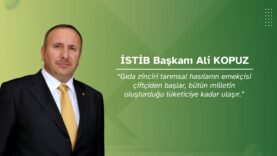 İSTİB