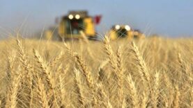 tarimda_yapisal_sorunlar_gida_komitesi_ve_gida_fiyatlari_h15459_85f9c