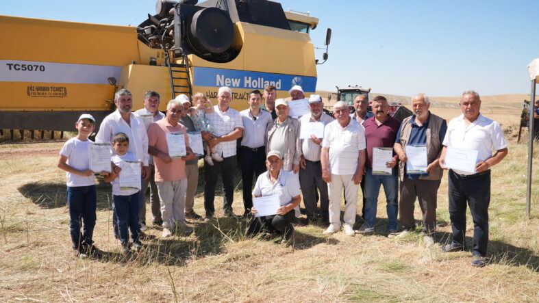 hasat (1)